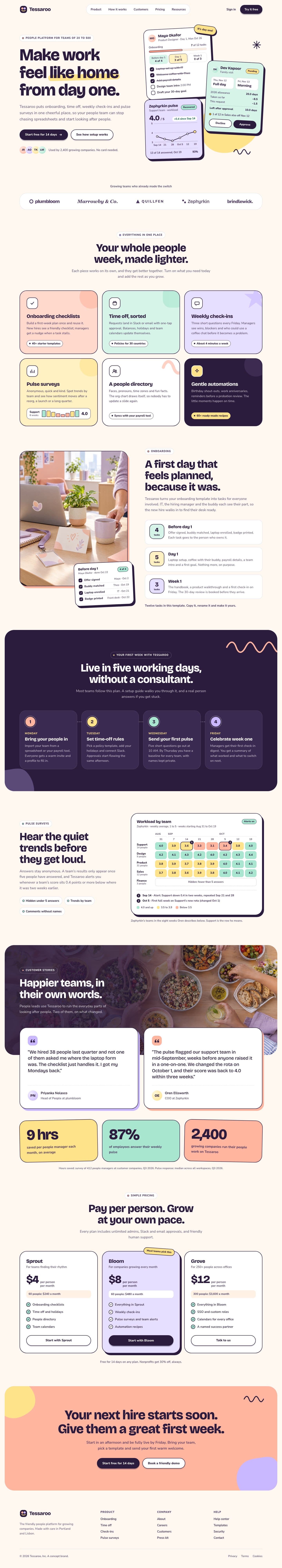 Tessaroo concept homepage, desktop
