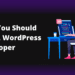 Why You Should Hire A WordPress Developer
