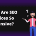 Why are SEO services so expensive