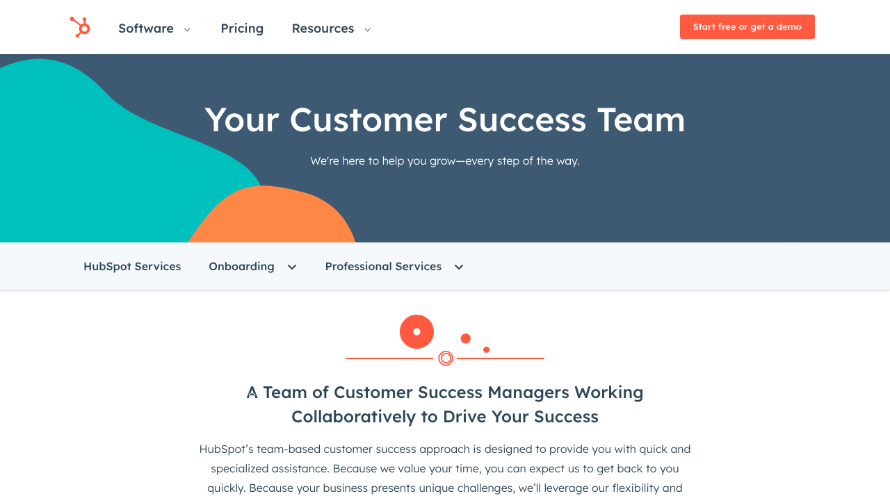 customer success team