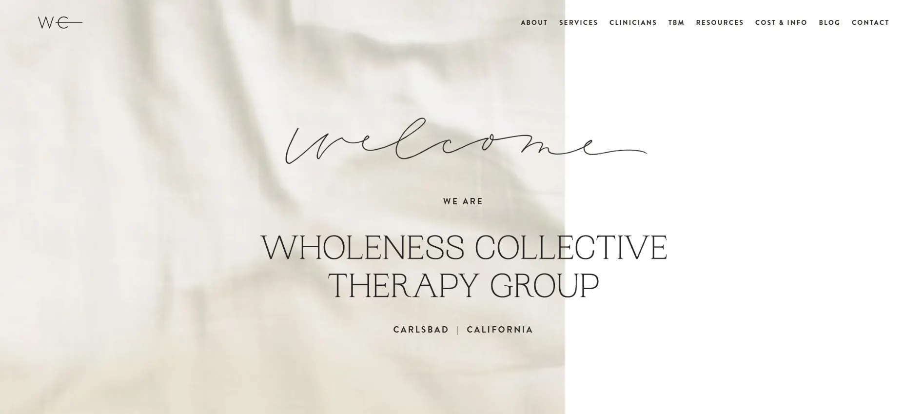 Wholeness Collective Therapy Group
