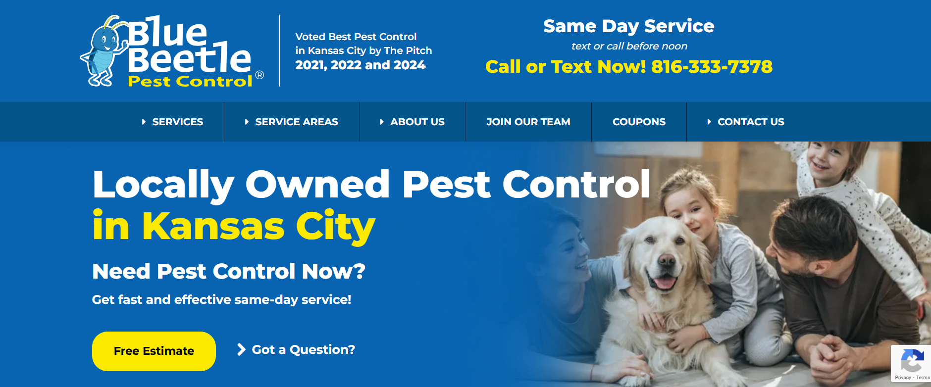 Blue Beetle Pest Control