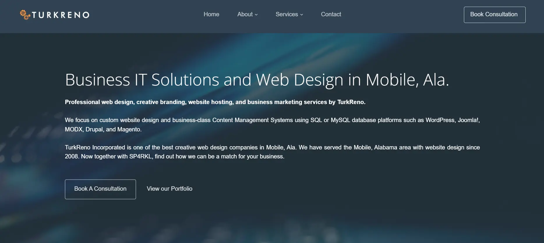 TurkReno Website Design